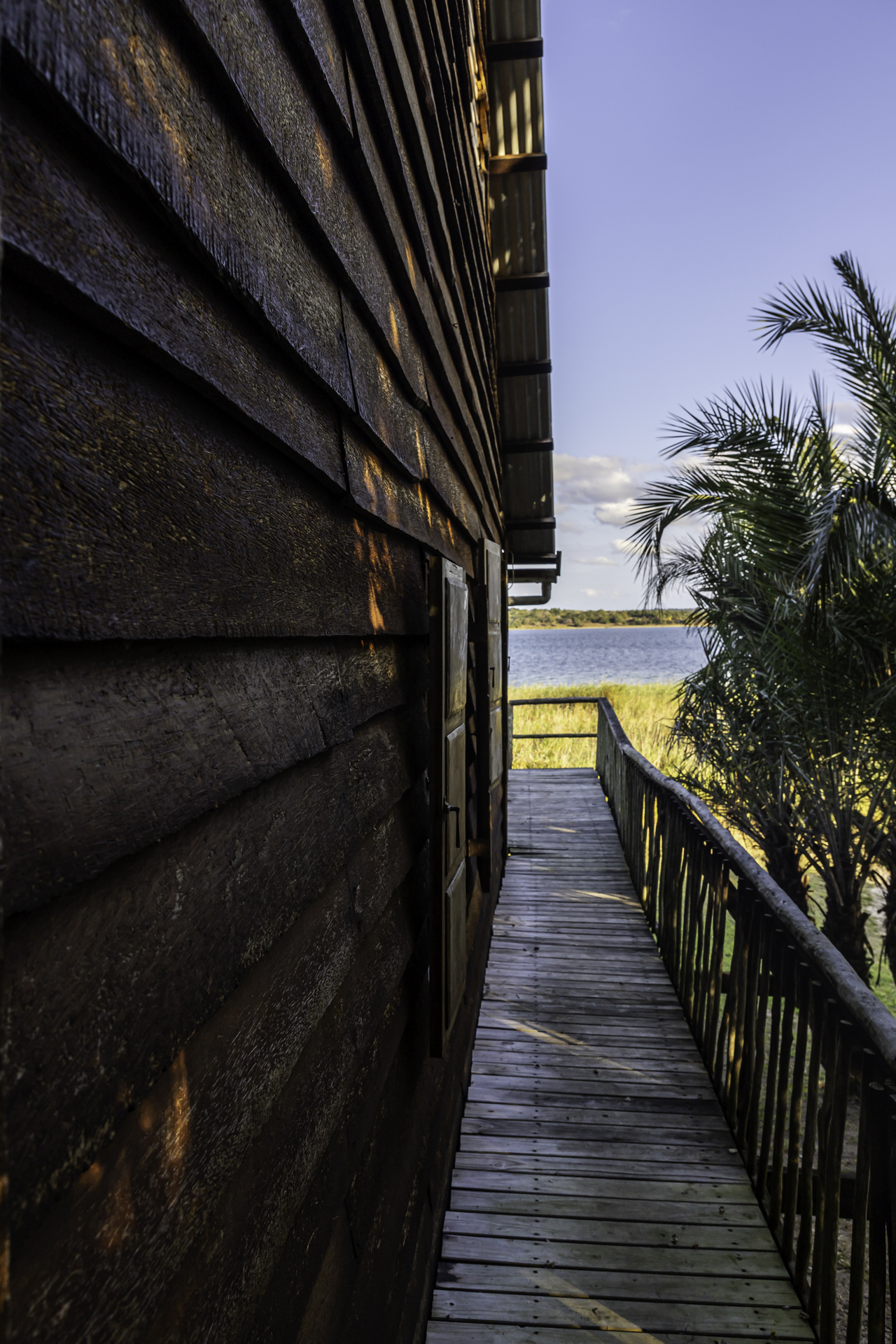 Canon 5D Mark IV